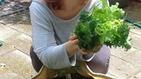 Sebelum ditangkap dengan tuduhan perdagangan seks, Allison kerap membagikan momen kulinerannya di akun Instagram miliknya. Ini posenya saat panen sayur di rumahnya. Foto: Istimewa