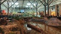 Selanjutnya ada Bandara Internasional Vancouver di Kanada. Bandara ini terkenal dengan beberapa pameran akuariumnya yang memukau. Dok. Wikipedia/Wpcpey.