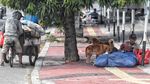 Jelang Lebaran, Pengemis di Ibu Kota Menjamur