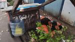 Jelang Lebaran, Pengemis di Ibu Kota Menjamur