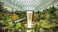 Belum lama ini bandara yang dibangun pada tahun 1959 itu membuka sebuah ikon baru yang dinamai Jewel Changi Airport. Para pengunjung disuguhkan pemandangan air terjun raksasa yang sungguh mempesona dengan berbagai tanaman yang berasal dari berbagai daerah di dunia. Keberadaan mal baru itu pun semakin mengukuhkan bandara ini sebagai salah satu bandara terbaik dan tentunya tercantik di dunia. Dok. www.architecturaldigest.in.