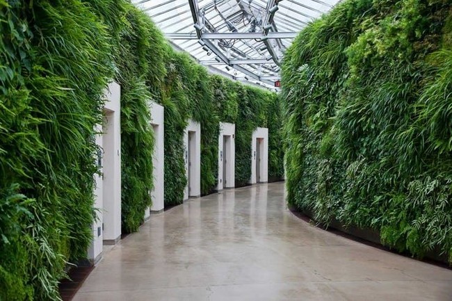 Berfoto di selasar toilet umum di Longwood Gardens, Pennsylvania akan membuatmu punya segudang foto menarik untuk di-posting di Instagram. Terdapat 17 bilik yang dindingnya ditumbuhi tanaman hijau lebat. Seperti berada di labirin mini. Foto: ist