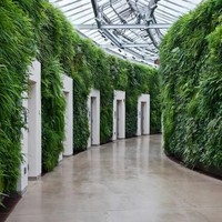 Berfoto di selasar toilet umum di Longwood Gardens, Pennsylvania akan membuatmu punya segudang foto menarik untuk di-posting di Instagram. Terdapat 17 bilik yang dindingnya ditumbuhi tanaman hijau lebat. Seperti berada di labirin mini. Foto: ist