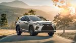 Wajah Baru Lexus RX yang Makin Gahar!