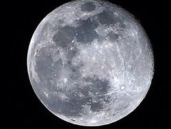 Mengenang Bu Ani dan Kamera Andalannya