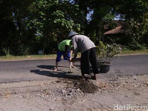 Prihatin Jalan Berlubang di Ponorogo, Warga Inisiatif Tutup dengan Semen