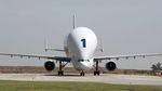 Foto: Kerajaan Pesawat Airbus dari Keluarga A300