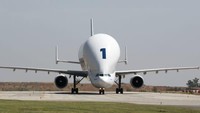 Kemudian ada A300-600ST Beluga, pesawat versi besar berbentuk paus untuk pengiriman barang berbentuk dari A300-600. Pesawat ini digunakan untuk mengangkut suku cadang Airbus dari pabrik ke tempat perakitan akhir (Airbus/CNN)  