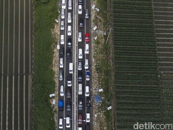 Mengenang Tragedi Kemacetan Brexit