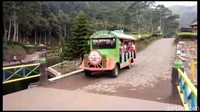 Menikmati Agrowisata Kebun Teh Kaligua seluas 600 hektare ini bisa menggunakan mobil sewaan. Dengan mobil wisata ini, wisatawan bisa puas berkeliling menyusuri seluruh areal perkebunan (Imam Suripto/detikcom)