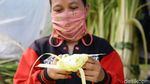 Potret Pedagang Kulit Ketupat Mengais Rezeki Jelang Idul Fitri
