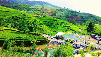 Agrowisata Kebun Teh Kaligua adalah pilihan cocok untuk liburan keluarga. Selain indah juga sejuk, ada beberapa wahana permainan yang bisa menguji adrenalin (Imam Suripto/detikcom)