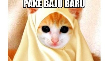 Kucing pun berlebaran. (Foto: Internet)