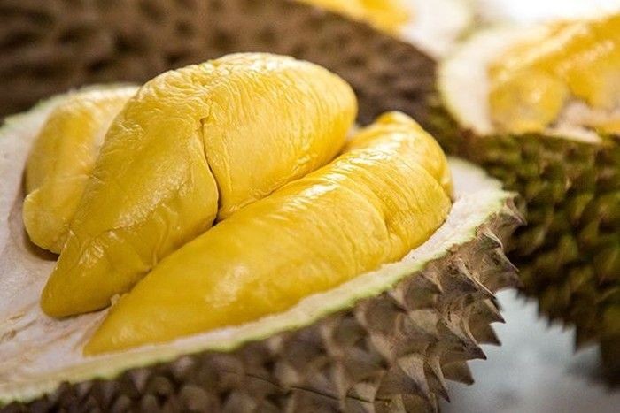 Hasil gambar untuk durian