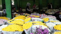 Sejumlah kios dan lapak menyediakan berbagai jenis bunga, seperti mawar, sedap malam, krisan, aster, anggrek dan lain sebagainya.