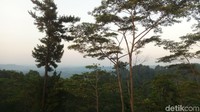 Para pemudik yang mampir untuk beristirahat menjelang waktu berbuka, bisa menyaksikan indahnya pemandangan (Aji Kusuma/detikcom)