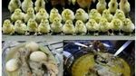Sambut Idul Fitri, Banyak Meme Kocak Soal Makanan Lebaran