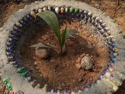 Viral, Bayar Sekolah Hanya Pakai Sampah Plastik