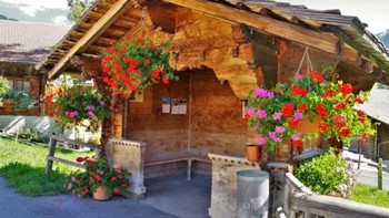 Nuansa kayu serta warna-warni bunga di kawasan pegunungan Bernese Oberland, Swiss. (Foto: BlazePress)