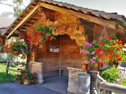 Kumpulan Pemberhentian Bus Unik di Berbagai Negara