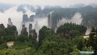 Di wilayah Wulingyuan terdapat sekitar 3.000 tebing yang terbentuk dari batuan pasir dan menjulang setinggi 200 meter. Tebing-tebing batu ini terletak di antara jurang, ngarai, sungai, dan air terjun. Foto: Dok. Xinhuanet/Wu Yongbing