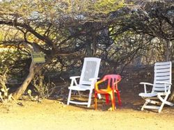 Kumpulan Pemberhentian Bus Unik di Berbagai Negara