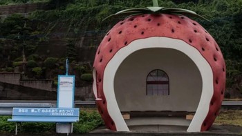 Halte bus Stroberi di Kongai, Jepang. (Foto: BlazePress)