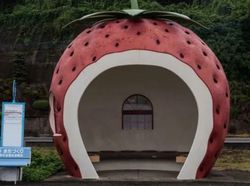 Kumpulan Pemberhentian Bus Unik di Berbagai Negara