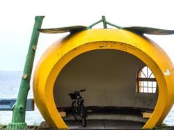 Kumpulan Pemberhentian Bus Unik di Berbagai Negara