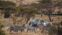 Land Rover baru-baru ini telah menyelesaikan serangkaian pengujian Defender di Kenya.  Foto: Dok. Land Rover