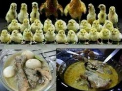 Deretan Meme Klasik yang Mewarnai Lebaran