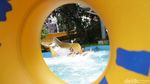 Serunya Bermain Air di SnowBay Waterpark TMII