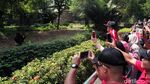 Pengunjung Padati Ragunan