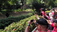 Para pengunjung asyik menyaksikan berbagai satwa yang ada di Kebun Binatang Ragunan.