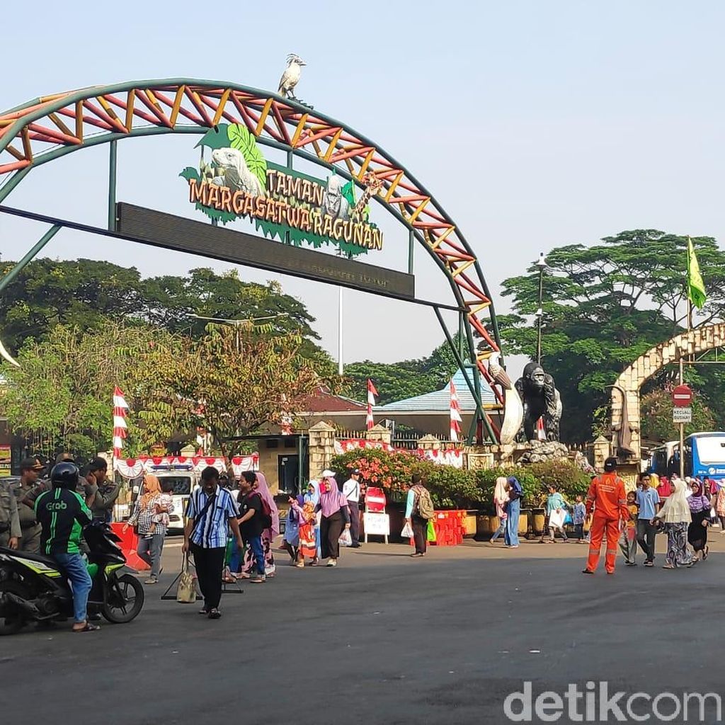 H+1 Lebaran, Pengunjung Kebun Binatang Ragunan Diprediksi Capai 70 Ribu
