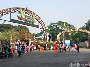 Hari Kedua Idul Fitri 1440 H, Warga Ramai ke Kebun Binatang Ragunan