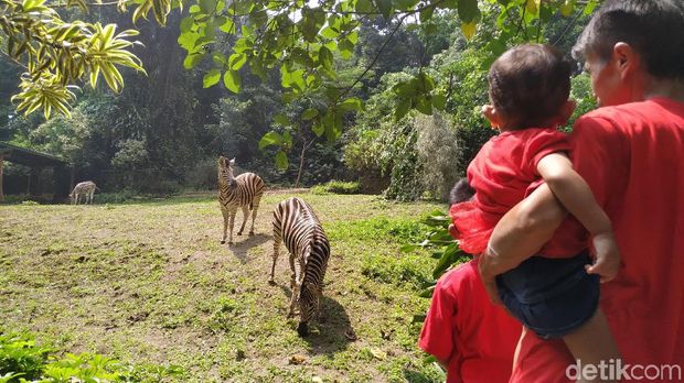 Libur Lebaran, Wisatawan Sesaki Kebun Binatang Bandung