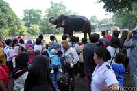 Ini 8 Destinasi Wisata Ramah Anak di Sekitar Jakarta