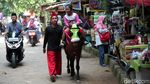 Delman dan Perahu Bebek Paling Diminati di Setu Babakan