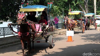 Delman dan Perahu Bebek Paling Diminati di Setu Babakan