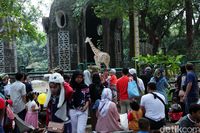  (Lamhot Aritonang/detikcom)