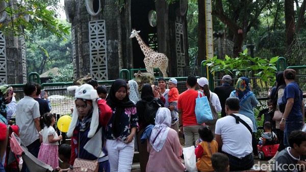 Bergeser ke Jakarta Selatan, ada Kebun Binatang Ragunan. Kenalkanlah sejumlah binatang yang ada di sana untuk wisata edukasi. Sekalian jalan sehat bareng si buah hati. (Lamhot Aritonang/detikcom) Bergeser ke Jakarta Selatan, ada Kebun Binatang Ragunan. Kenalkanlah sejumlah binatang yang ada di sana untuk wisata edukasi. Sekalian jalan sehat bareng si buah hati. (Lamhot Aritonang/detikcom)