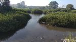 Foto: Pantai Sumbawa Banyak Buaya, Dijadikan Tempat Wisata
