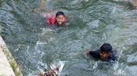 Ada juga lomba menangkap bebek.
