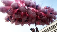 Pada libur lebaran ini para PKL tampak leluasa berjualan.
