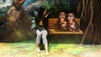 Magic Art 3D Museum terbagi menjadi tujuh zona yakni zona lukisan, zona satwa, zona laut, zona rutinitas, zona dinosaurus, zona petualangan, dan zona horor.