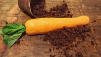 Pot berisi tanah dan wortel ini semuanya terbuat dari bahan yang aman untuk dimakan. Rasanya juga enak! Foto: Boredpanda