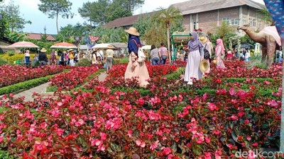 Yang Cantik-cantik di Bandung Barat