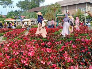 Masih Mudik di Bandung, Mampir ke Taman Begonia Yuk!