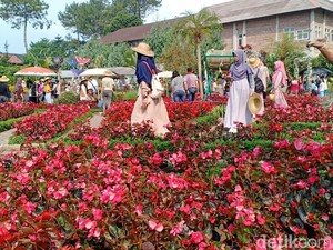 Masih Mudik di Bandung, Mampir ke Taman Begonia Yuk!